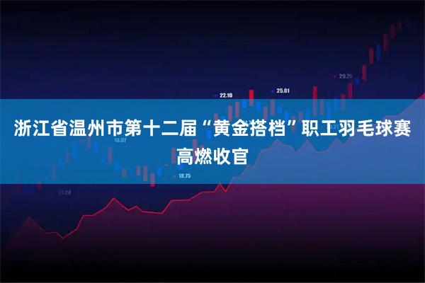 浙江省温州市第十二届“黄金搭档”职工羽毛球赛高燃收官