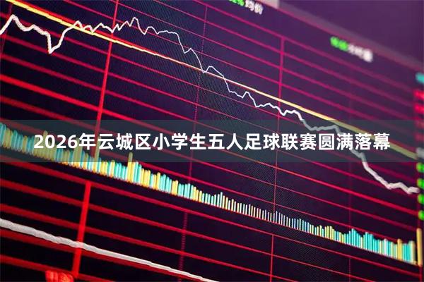 2026年云城区小学生五人足球联赛圆满落幕