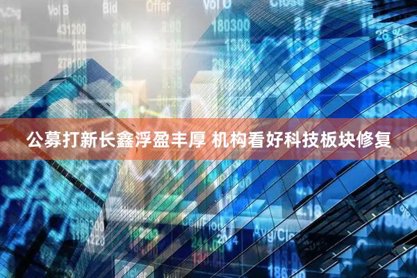 公募打新长鑫浮盈丰厚 机构看好科技板块修复